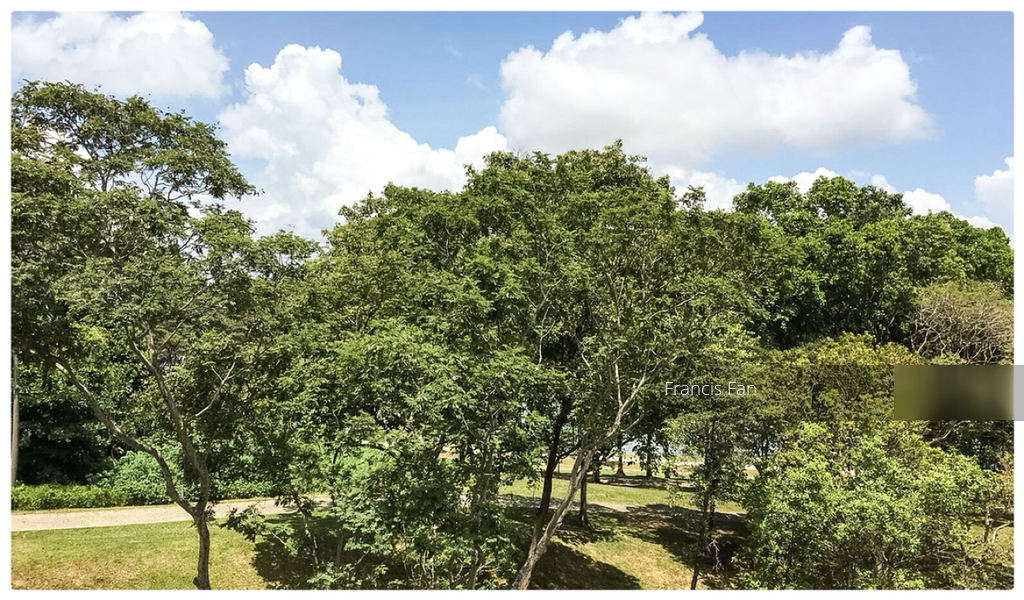 Archipelago (D16), Condominium #113790992